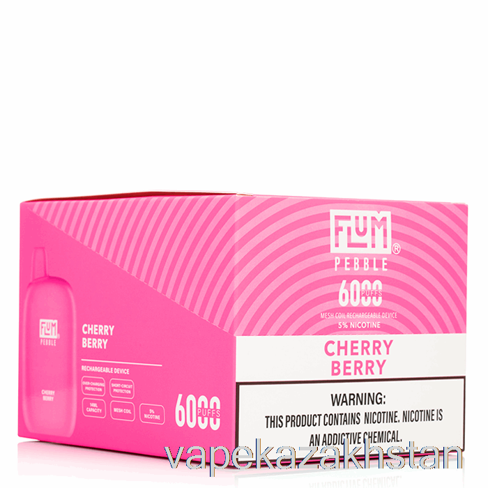 Vape Kazakhstan [10-Pack] Flum Pebble 6000 Disposable